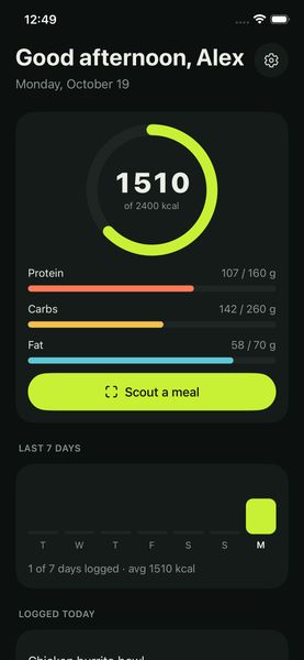 Daily overview with calorie ring