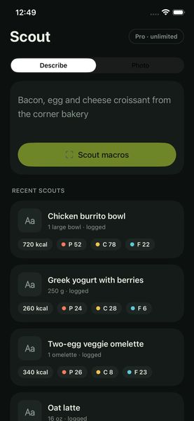 Scout a meal by describing it